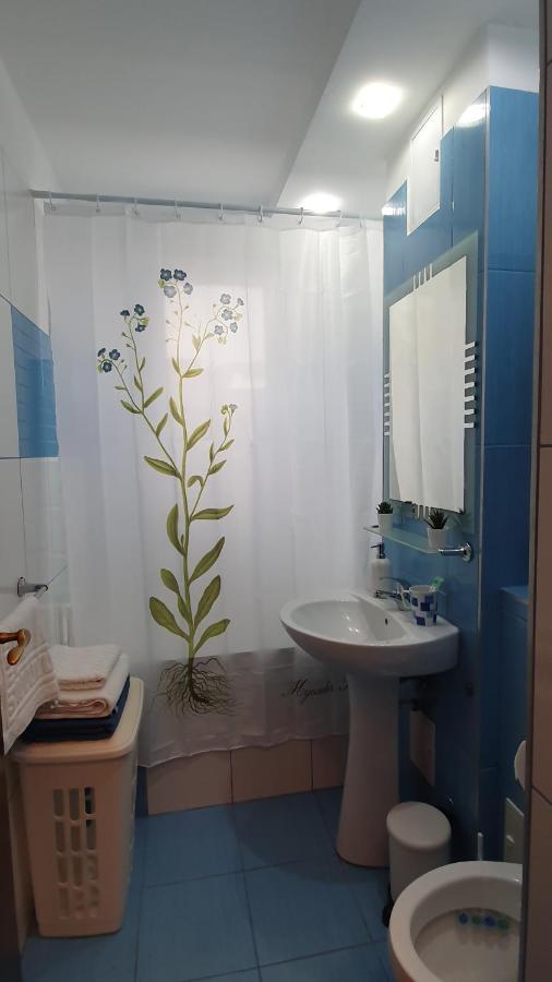 Apartament Coșbuc Baia Mare Exterior foto