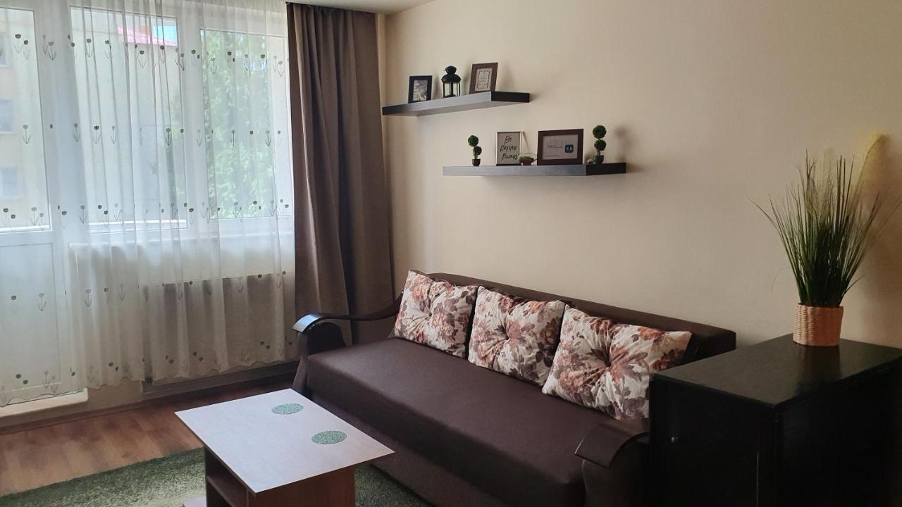 Apartament Coșbuc Baia Mare Exterior foto